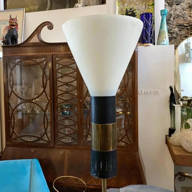 1950s Stilnovo Mid-Century Modern Italian Floor Lamp For Sale - Image 12 of 13