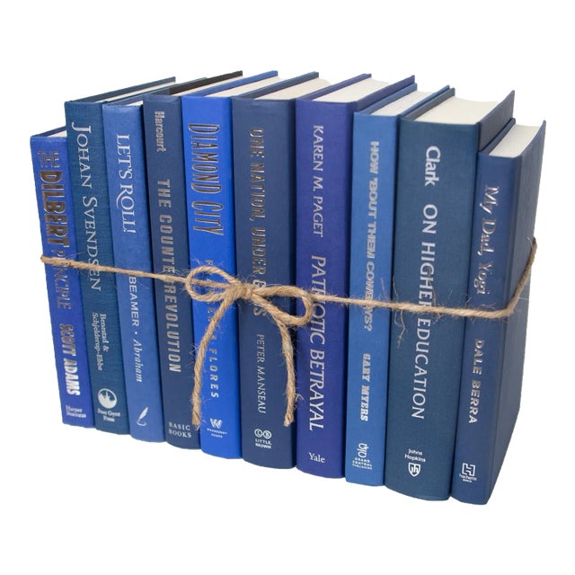 Decorative Books - Denim & Silver Book Bundle - 1 Foot of Blue Books For Sale