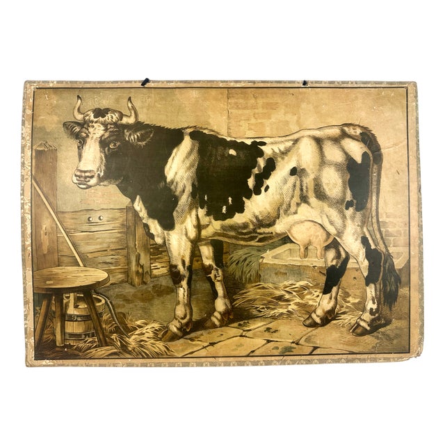 Czech Educational School Board with Cow, 1900s For Sale
