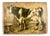 Czech Educational School Board with Cow, 1900s For Sale