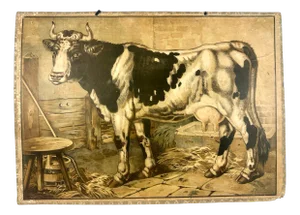 Czech Educational School Board with Cow, 1900s