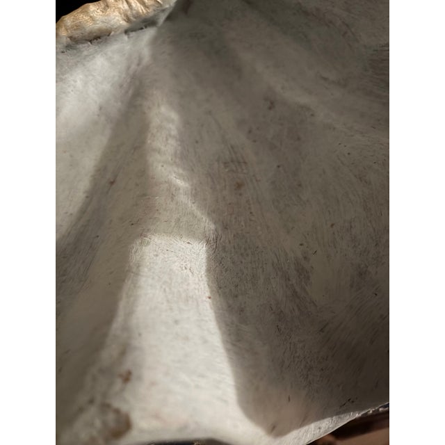 White Faux Plaster Decorative Clam Shell For Sale - Image 8 of 12