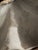 White Faux Plaster Decorative Clam Shell For Sale - Image 8 of 12
