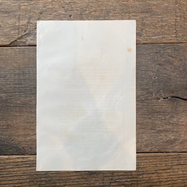 French Antique 18th Century "La Biche" Deer Engraving Hand Colored Signed Artwork For Sale - Image 10 of 10