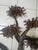 Brutalist Tree Sculpture For Sale - Image 4 of 6