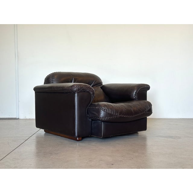 Leather Model DS 101 Armchairs from de Sede, 1970s, Set of 2 For Sale - Image 6 of 13