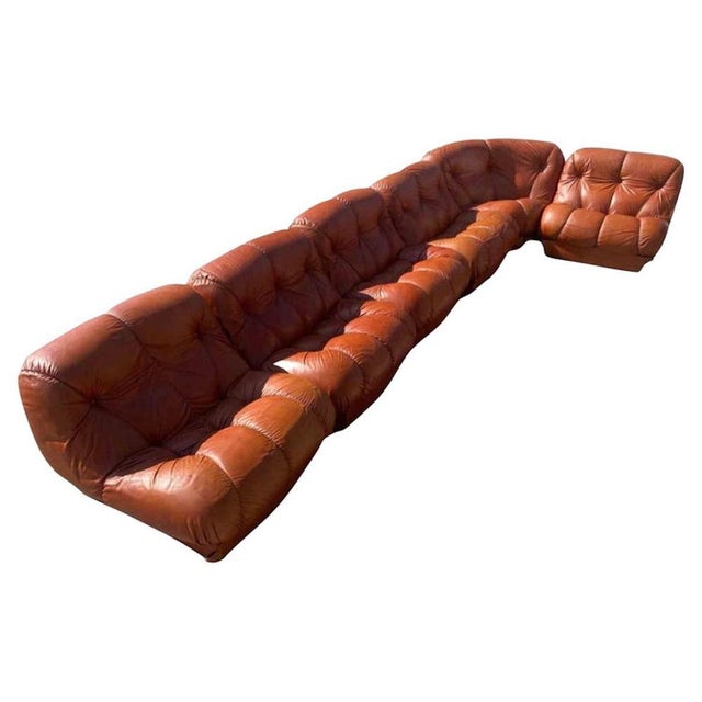 Brown Nuvolone Modular Sofa in Leather by Rino Maturi, Italy, 1960s, Set of 5 For Sale - Image 8 of 8