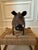 Vintage Brutalist Metal Winged Pig Garden Sculpture For Sale - Image 4 of 13