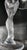 Retired Carl Faberge "Kissing Doves" Art Deco Champagne Flutes - A Pair For Sale - Image 9 of 11