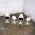 Mid-20th Century MCM Burke Tulip Side Chairs No 103 White Shell Black Cushions Oval Stationary 4 Prong Base Set of 4 For Sale - Image 12 of 18