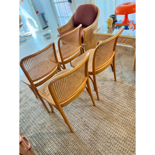 Set of Four Iconic Cane Bentwood Chairs Designed by Josef Hoffmann, Model No. 811, and Produced by Fmg, Circa 1960s. For Sale In Houston - Image 6 of 12