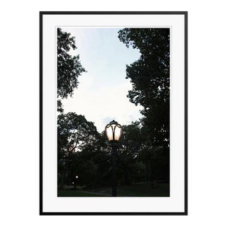 Light Symphony by Stuart Möller Framed For Sale