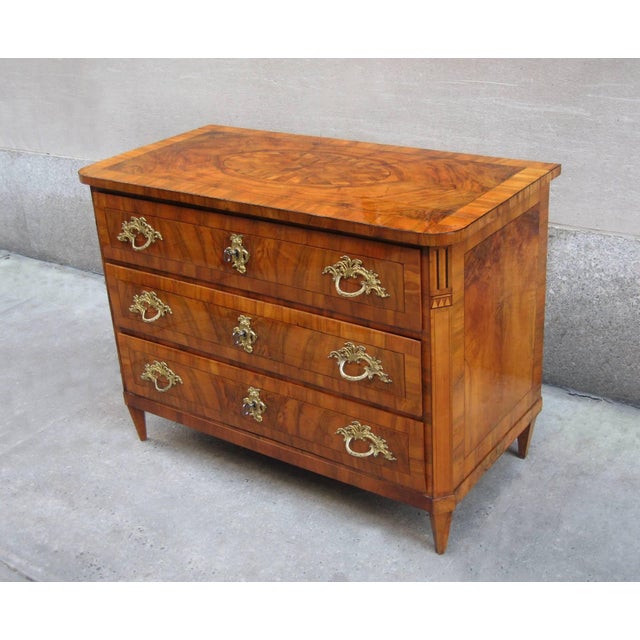 French Louis XVI Period Walnut Chest of Drawers Dresden Germany circa 1780 For Sale - Image 3 of 6