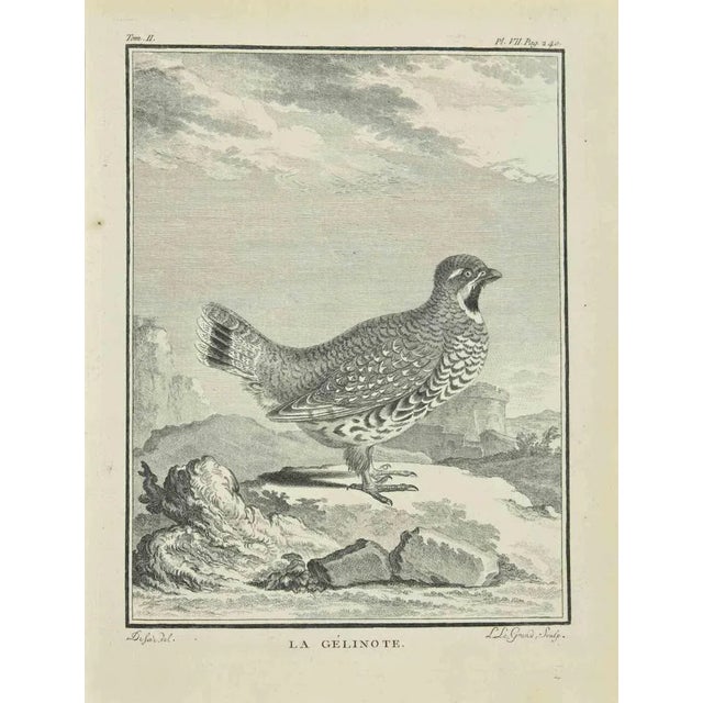 La Gelinote is an etching realized in 1771 by Louis Legrand (1723-1807). Signed in flat. The Artwork Belongs to the Suite...