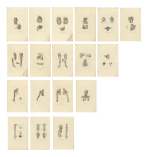 Anatomy Illustrations of Blood Vessels, 1839, Prints, Set of 18