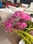 Wood Botanical Mix Floor Orchid For Sale - Image 7 of 7
