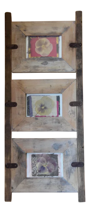 Mid-Century Pressed Botanical Rustic Frame With Pressed Floral Art