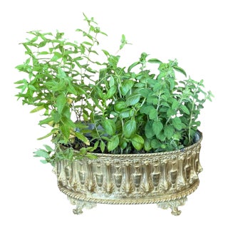 Antique French Repousse' Brass Jardiniere Planter 19th Century With Liner For Sale