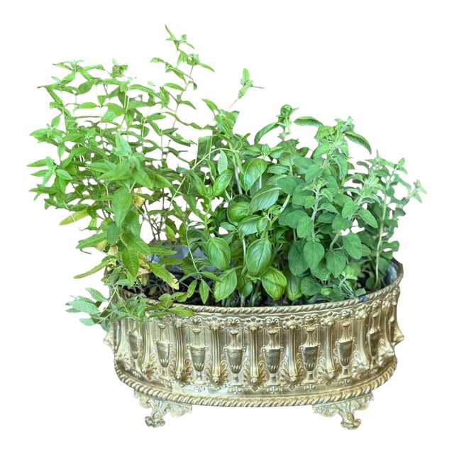 Antique French Repousse' Brass Jardiniere Planter 19th Century With Liner For Sale