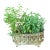Antique French Repousse' Brass Jardiniere Planter 19th Century With Liner For Sale