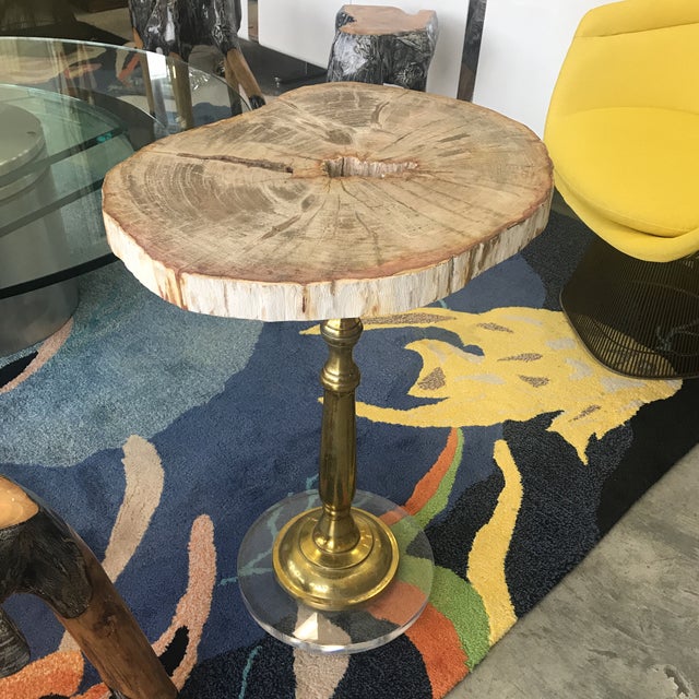 Petrified Wood Side Table With Lucite Base Chairish