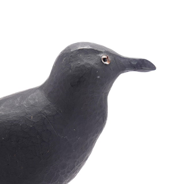 American Carved & Painted Confidence Crow Decoy, C. 1900-25 For Sale - Image 10 of 11