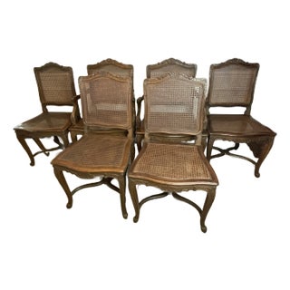 Early 20th Century Set of Six Louis X1v Fruitwood Cane Chairs For Sale