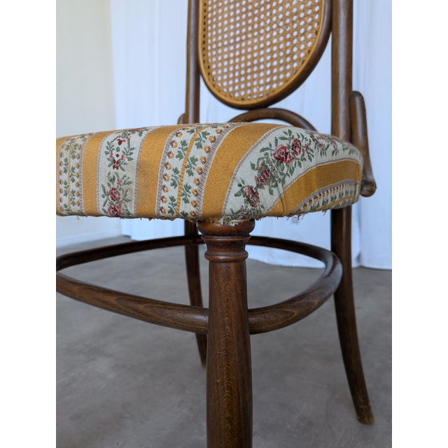 Vintage Bentwood Chair in Fabric and Cane Backrest, Yugoslavia, 1970s For Sale - Image 11 of 18