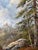 Textile Vintage Signed Original Mountain Landscape Oil Painting on Canvas | Framed Alpine Forest Scene | 31” X 25.5” For Sale - Image 7 of 13