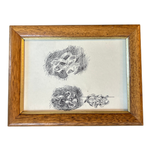 1950’s Original Abstract Expressionist Pen and Ink Drawing