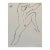 1982 James Bone Dancer Male Nude Drawing For Sale
