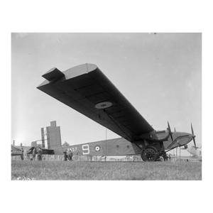 'Giant Wing' Unframed Archival Pigment Print