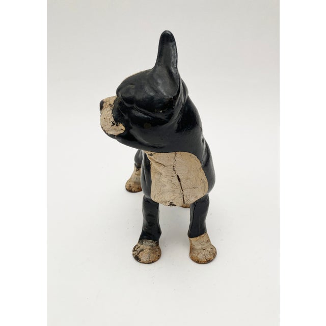 Circa 1910 Hubley Black & White Cast Iron Boston Terrier Dog Doorstops