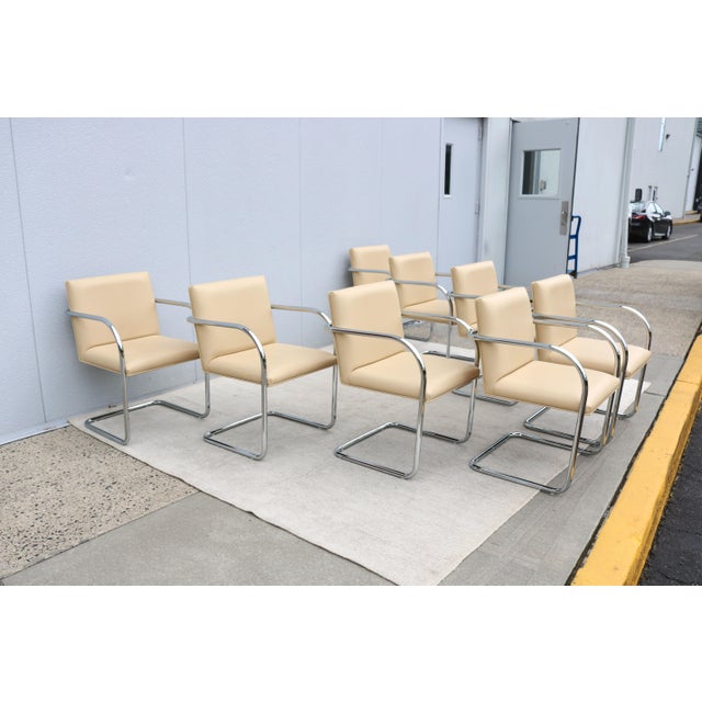 Metal Ludwig Mies Van Der Rohe Brno Tubular Chairs in Beige Leather by Gordon, Set of 8 For Sale - Image 7 of 18