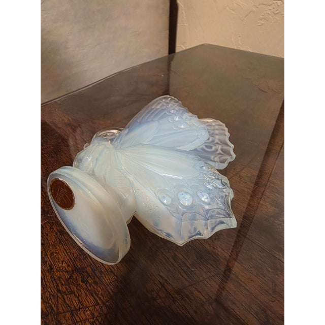 Sabino Butterfly With Closed Wings For Sale - Image 4 of 8