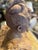 19th Century French Terracotta Bust of a Lady. For Sale - Image 4 of 10