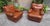 Bergère Armchair in in Brown Leather Poltrona Frau, 1960s, Set of 2, in Good conditions. Designed 1960 to 1969 I have...