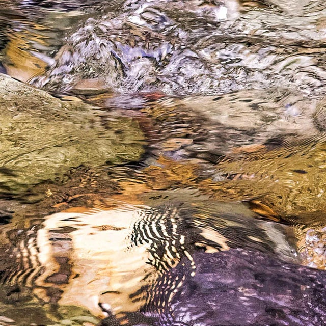 2021 "Clear Mountain Waters. Mount Rainier State Park, Washington" Ultra Vibrant Acrylic Prints by Marty Hulsebos Photography For Sale In New York - Image 6 of 7