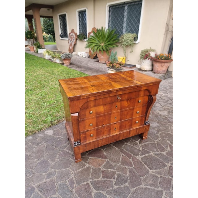 Brown Empire Chest of Drawers 1830 in Walnut Veneer For Sale - Image 8 of 14