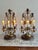 Early 20th Century Pair Early 20th Century French Girandoles Electric Candelabra With Grapes and Decorative Prisms For Sale - Image 5 of 12