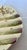 1890s English Majolica Shell Shape Asparagus Plate For Sale In Dallas - Image 6 of 12
