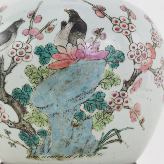 Antique Famille Rose Porcelain Vase Lamp With Birds on Flowering Plum Branches and Rockery For Sale - Image 10 of 14