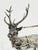 German Silver Reindeer with Sleigh attributed to Schleissner & Söhne, 1890s For Sale - Image 9 of 13
