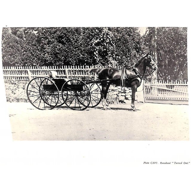 "Driving for Pleasure: Or, the Harness Stable and Its Appointments" 1896 Underhill, Francis T. For Sale - Image 11 of 12