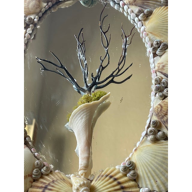1970s Mid 20 Th C Sea Shell Oval Mirror For Sale - Image 5 of 5