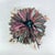 Early 20th Century Bamileke Juju Feather Headdress On Woven Basketry Cameroon For Sale - Image 14 of 15