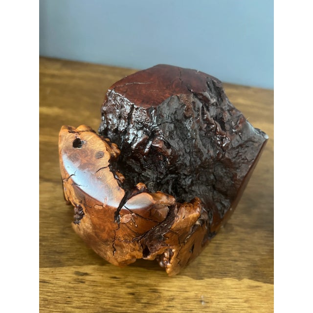 Vintage Rustic Burl Wood Bookends - a Pair For Sale - Image 9 of 12