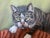 This charming vintage oil painting portrays three beloved cats gathered together in a warm and intimate interior setting....