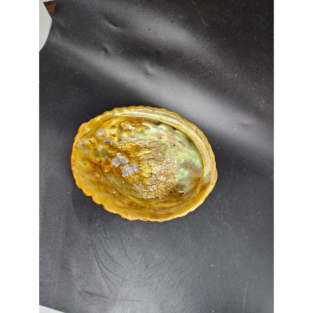 Vtg Abalone Shell Footed Smudging Pearlescent Trinket Dish Shell Mid Century