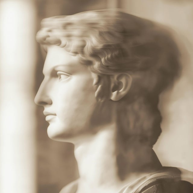 Set of 18 Blurred Antique Profiles — Archival Prints of Restored Antique Photographs For Sale - Image 15 of 17